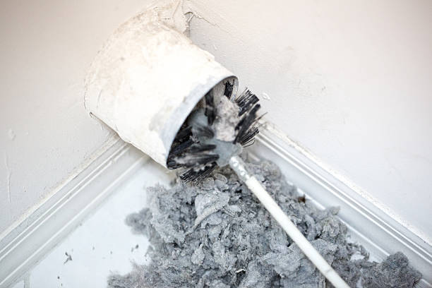 Best Local Air Duct Cleaning Services  in Schler Park, IL